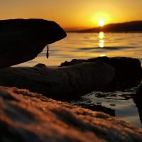 IMG_20200209_080027